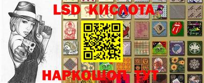 шишки Ярославль