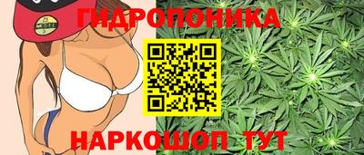 мяу мяу мука Ярцево