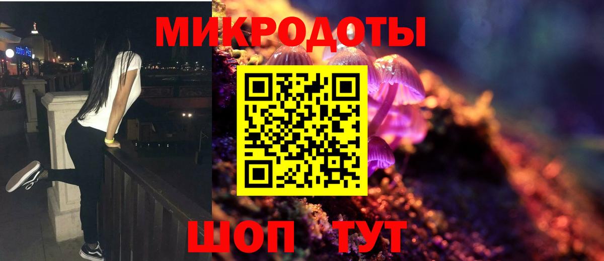 Галлюциногенные грибы прущие грибы Белебей